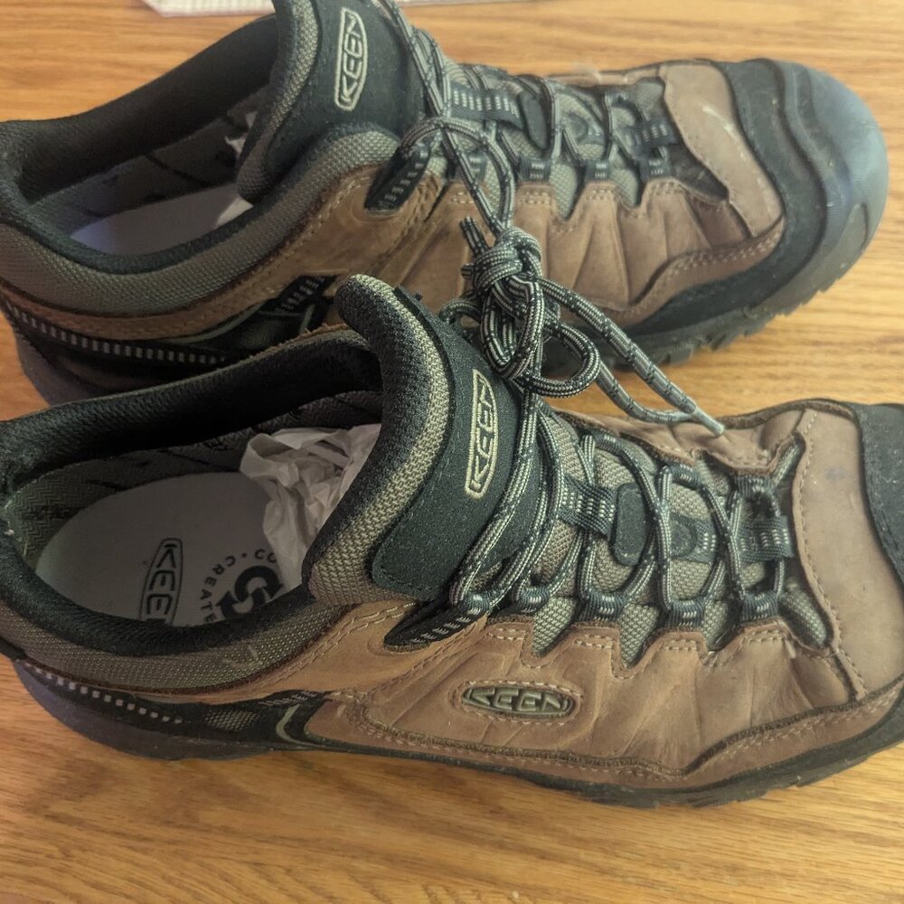 Men's Targhee IV Waterproof Hiking Shoe
